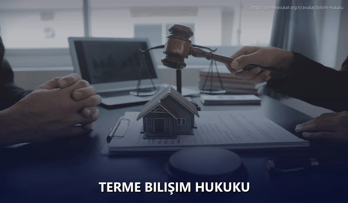 Terme Bilişim Hukuku